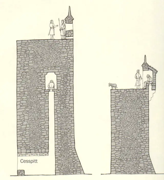 medieval cess pit